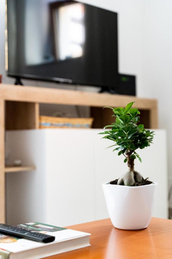 Spacious 3-Bedroom Apartment With Courtyard In Tempio Pausania - Perfect For Families 外观 照片